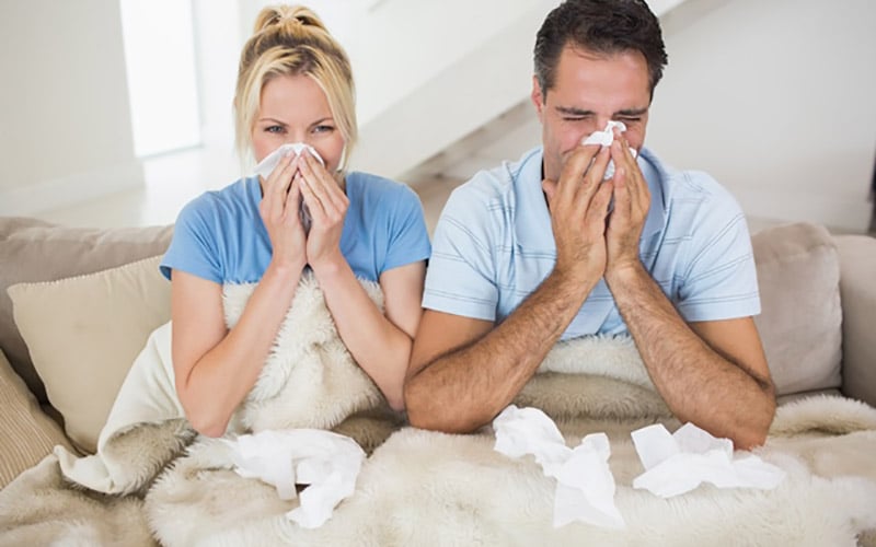 Avoid Severe Springtime Allergies By Improving Indoor Air Quality